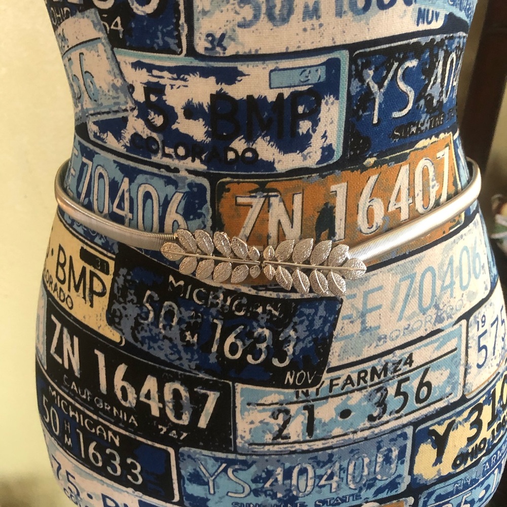 Silver slinky belt